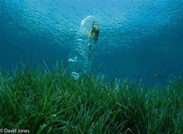 Steeds meer plastic in drinkwater, wereldwijd